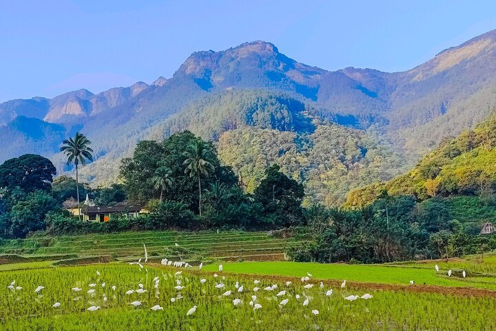 Morning village scenery